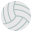 :volleyball: