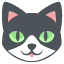 :cat: